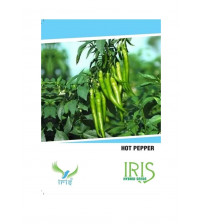 Iris F1 Chilli / Hot Pepper 15 Seeds